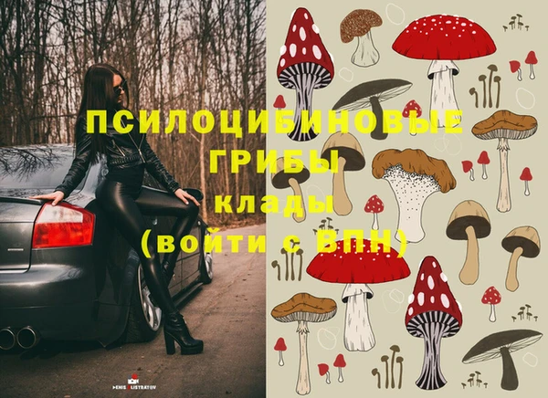 бошки Беломорск