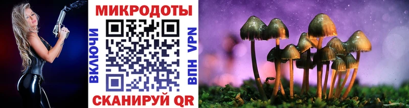 МЕГА маркетплейс  Вилюйск  Псилоцибиновые грибы прущие грибы 
